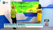 Какво време ни очаква през тази седмица