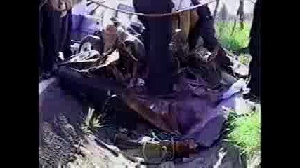 Court Tv Fatal Semi Accident