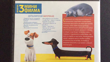 Българското Dvd издание на Сами вкъщи (2016) А+филмс 2017