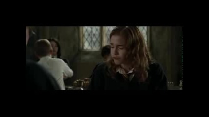 Harry and Harmione accidentaly inlove