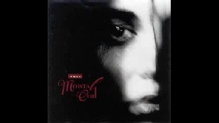This Mortal Coil - Tarantula