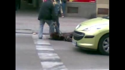 Цигани бият кон