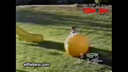 Fun - Най - Смешните Пребивания