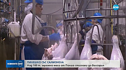 Над 100 тона пилешко със салмонела са дошли на българския пазар