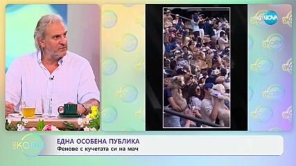 Една особена публика: Фенове с кучетата си на мач - „На кафе“ (06.06.2024)