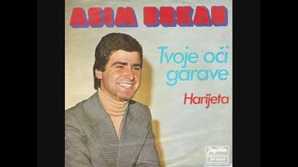 Asim Brkan - Poleti ptico srebrenih krila