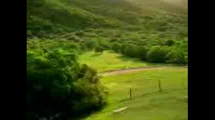 Glava