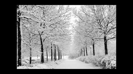 Dj Cheficha & Dj Dimorno - House is Electric 