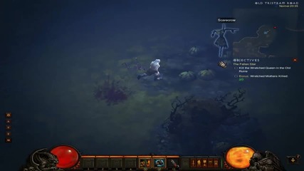 Diablo Iii (1) от Hero002