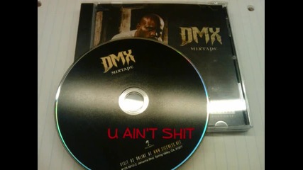 dmx - U Aint Shit 