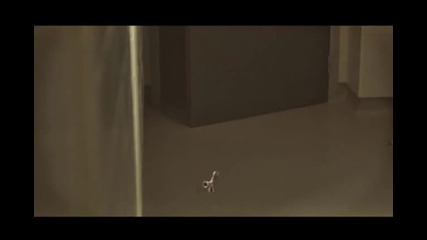 Robben - Magic Boot 