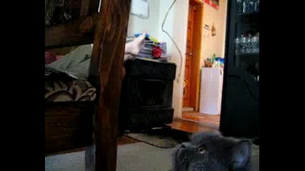 Maiki