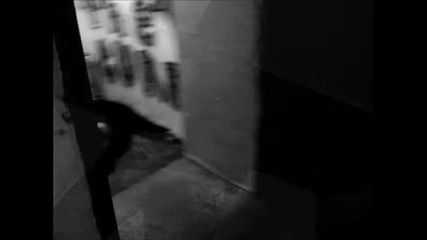 Elvis Jackson- Window (official party video)