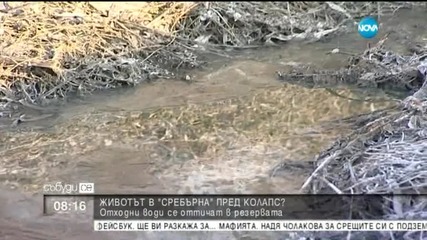 Вливат ли се отпадни води в резервата Сребърна?