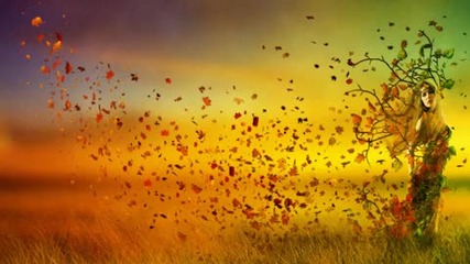 Soulfinder - Fly Away (dynamic Illusion Remix)