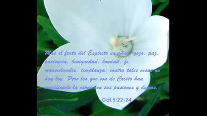 Jessyca Sarango - El milagro de amar