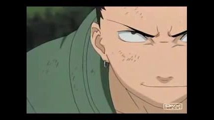 Shikamaru Knows Everything