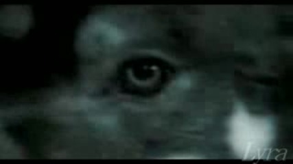The Twilight Saga New Moon Trailer - Summit Entertainment (fan - Made!).flv