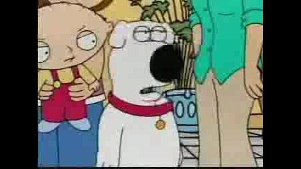 Family Guy Funny Clips