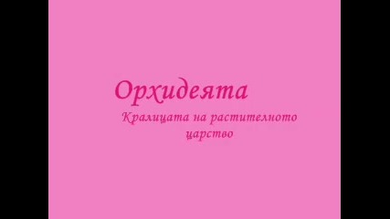 орхидеята