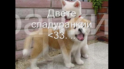 Сладуранкии