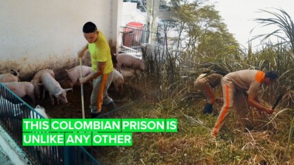 Вижте колумбийския затвор, който пуска затворниците си на свобода