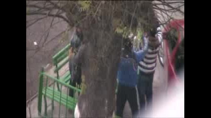 Живота В Гетото
