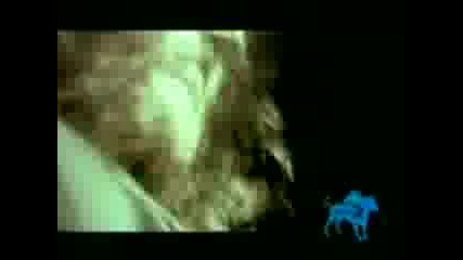 Six Feet Under - Deathklaat.mp4