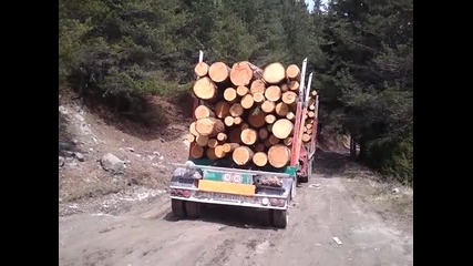 Ман в акция Виево