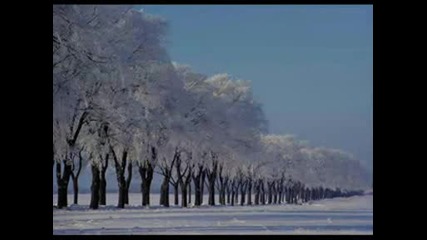 Gheorghe Zamfir - Cant Fight The Moonlight.