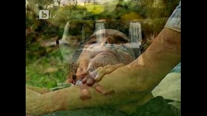 Непокорно сърце 134 епизод 1 част