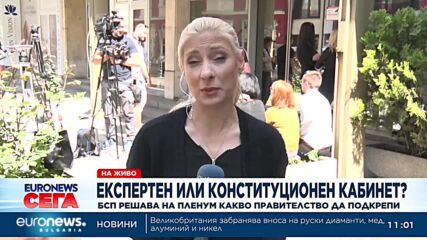 Пленум на БСП решава дали да подкрепят експертен кабинет (Обновена)