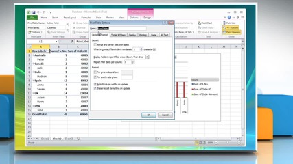 Microsoft® Excel 2010: How to convert Pivotchart to a standard chart on Windows® Vista?