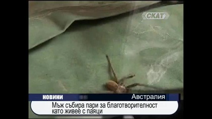 Мъж живее с 400 отровни паяка, за да събере пари за деца в нужда 