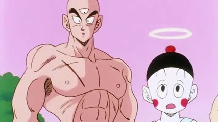 Dragon Ball Z - 95