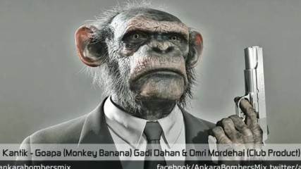 Dj Kantik - Goapa Monkey Banana Gadi Dahan Omri Mordehai Club Product