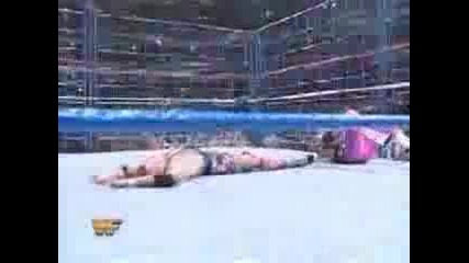 Bret Hart vs Owen Hart - Steel Cage Match For Wwf Championship *3/5* 
