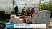 Министерството на земеделието проверява сигнали за нелоялни практики към производители
