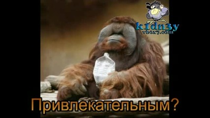 Какъв трябва да бъде истинския мъж?!