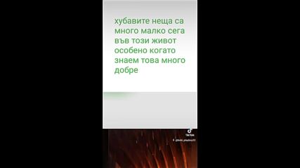 2024-11-04-142440839.mp4