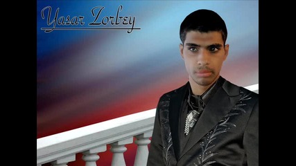 Yasar Zorbey Anem 2013