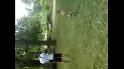 serkan boxsa 