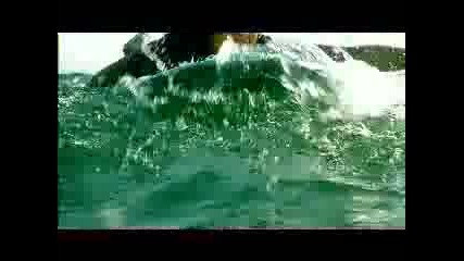 David Guetta - Baby when the light ( Official Video)