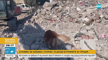 Почина легендарното куче Килиан, открило 18 души след трусовете в Турция