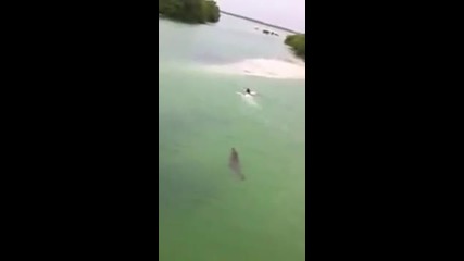 Турист успява да се измъкне от крокодил за няколко метра