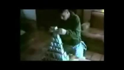 Funny Cats 3 