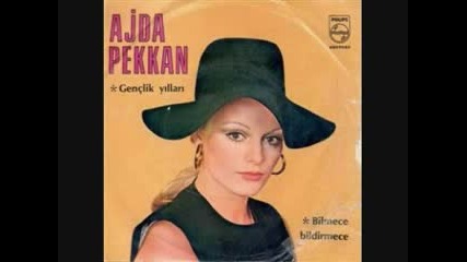 Ajda Pekkan - Aynen ( remix )