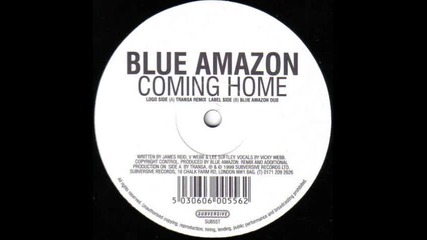 Blue Amazon-coming Home-1999 Transa Remix