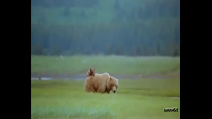 Shadow Gallery - Alaska