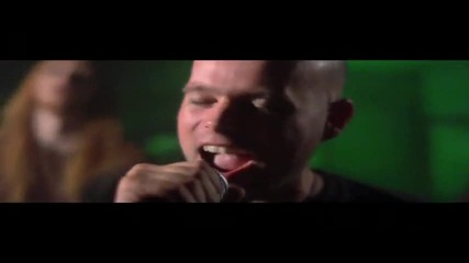 Starseed - Shine 